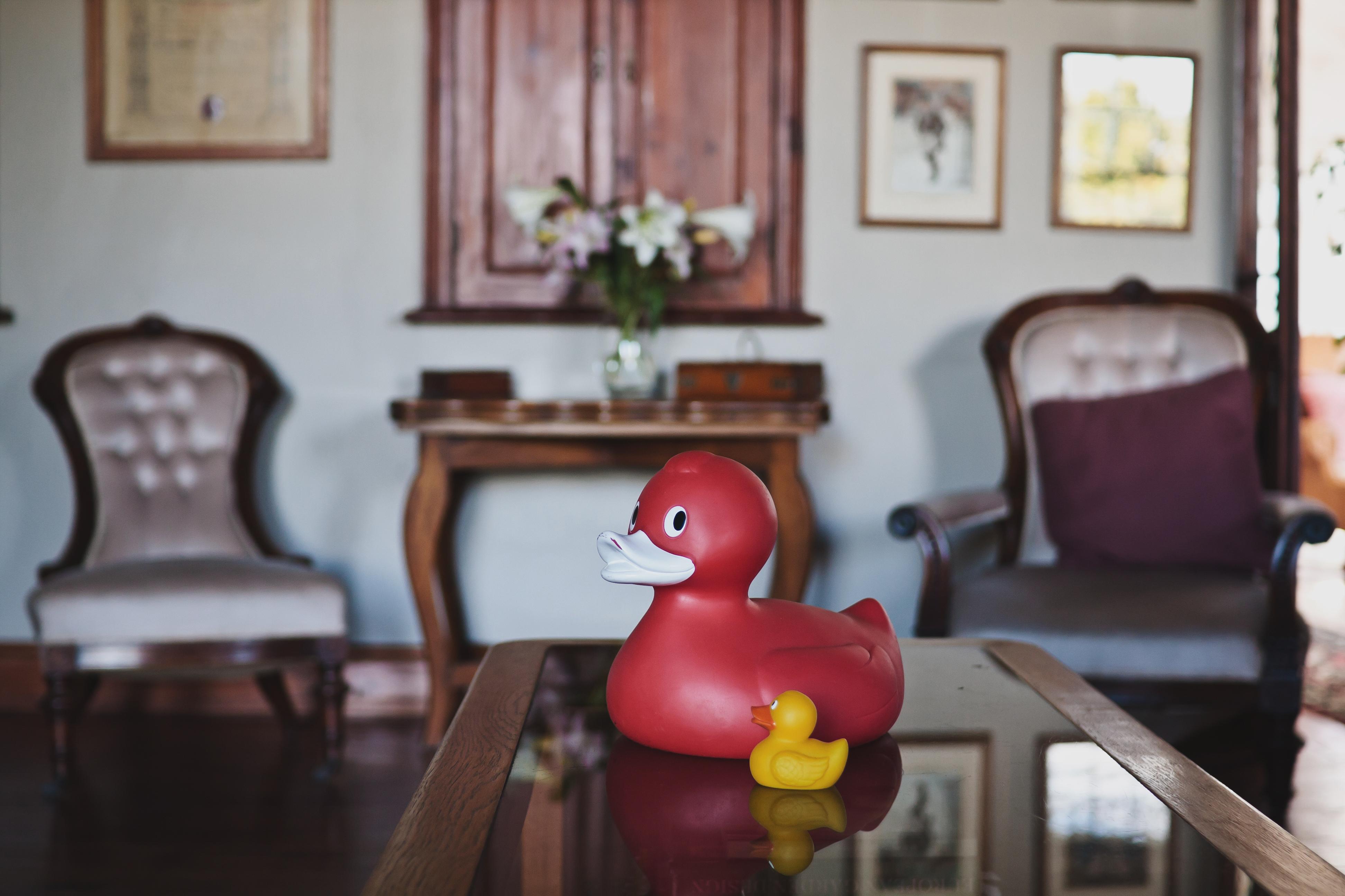 Schoone Oordt Country House Swellendam Esterno foto