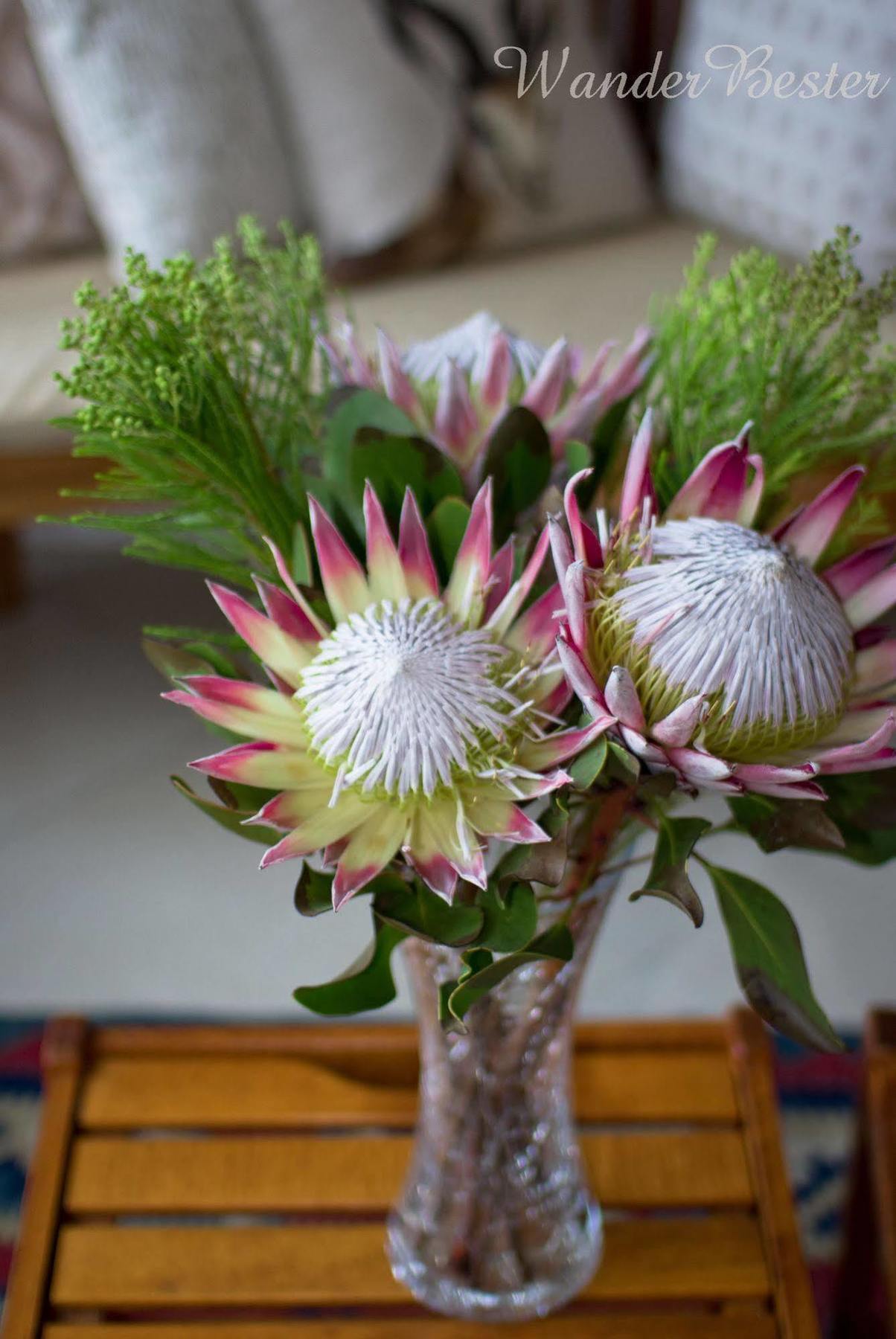 Schoone Oordt Country House Swellendam Esterno foto